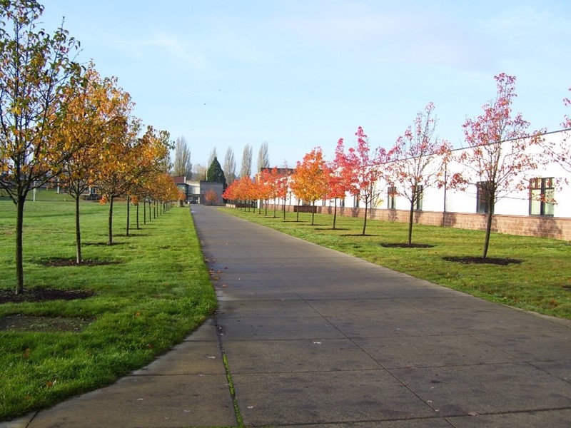 Community Residential Programs